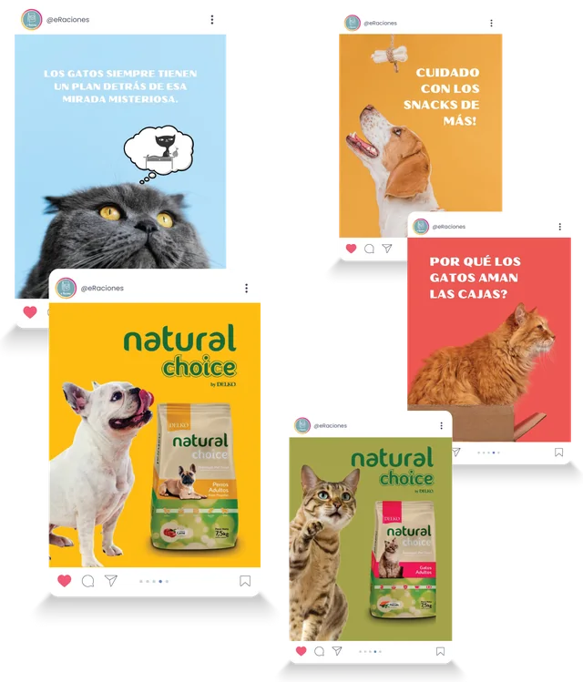 Publicaciones de E-Raciones con perros, gatos y producto