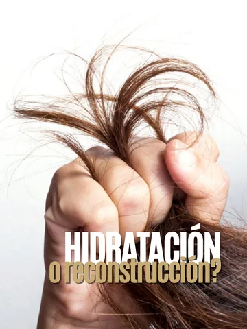 Publicación: hidratación o reconstrucción